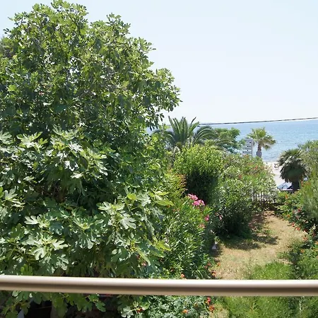 Holiday * Vir